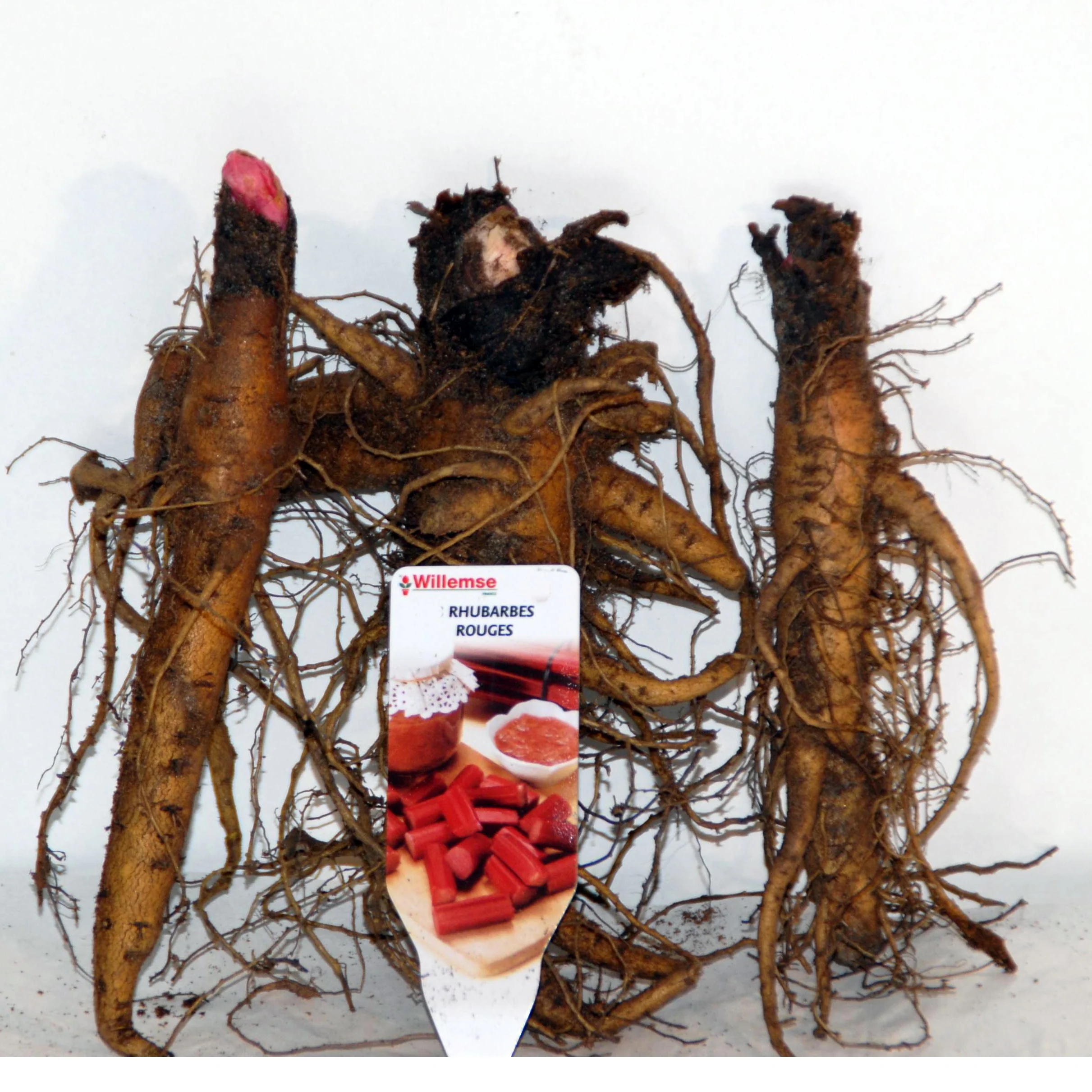 Image du produit 7