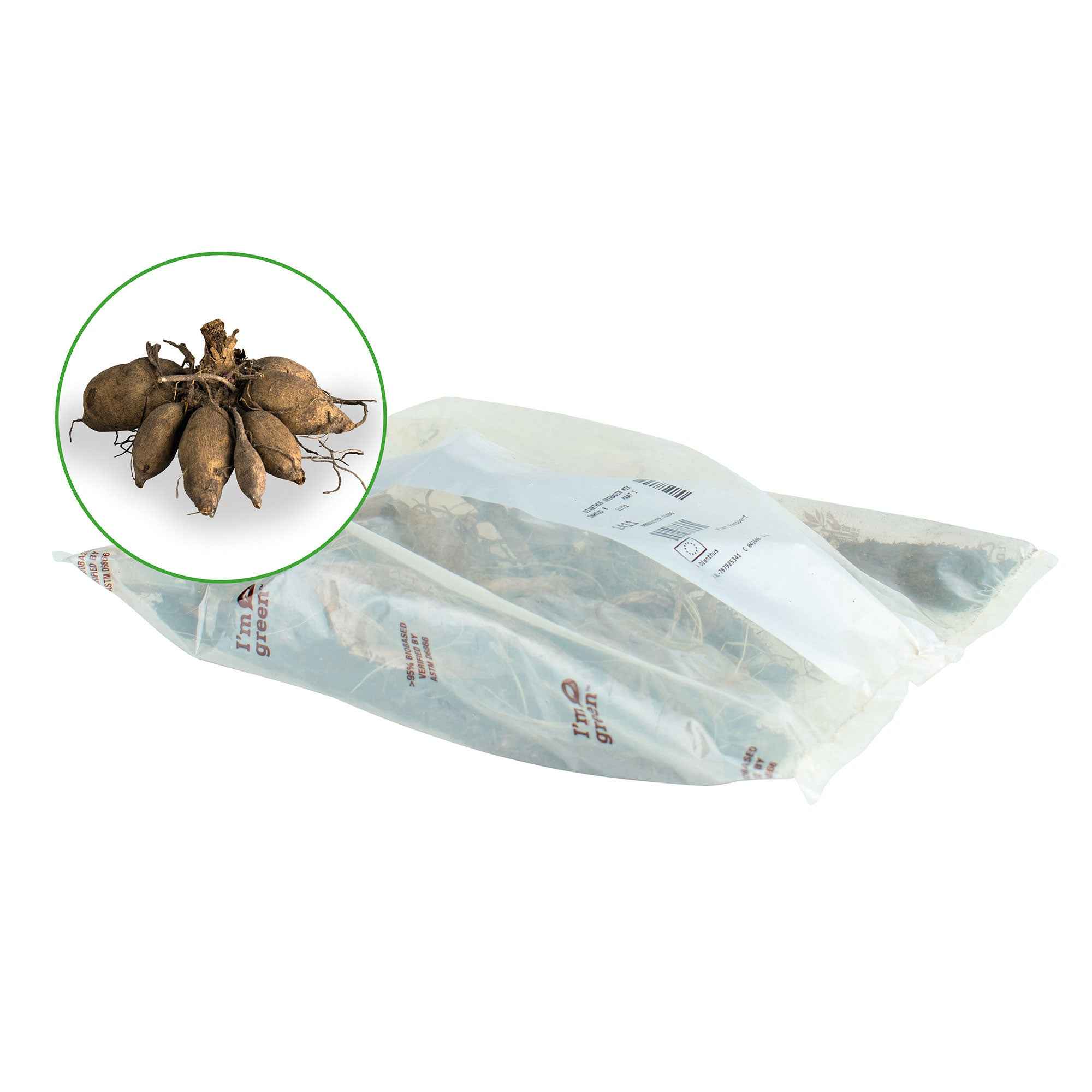 Image du produit 5