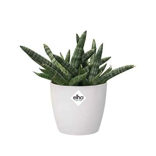 Image du produit 10