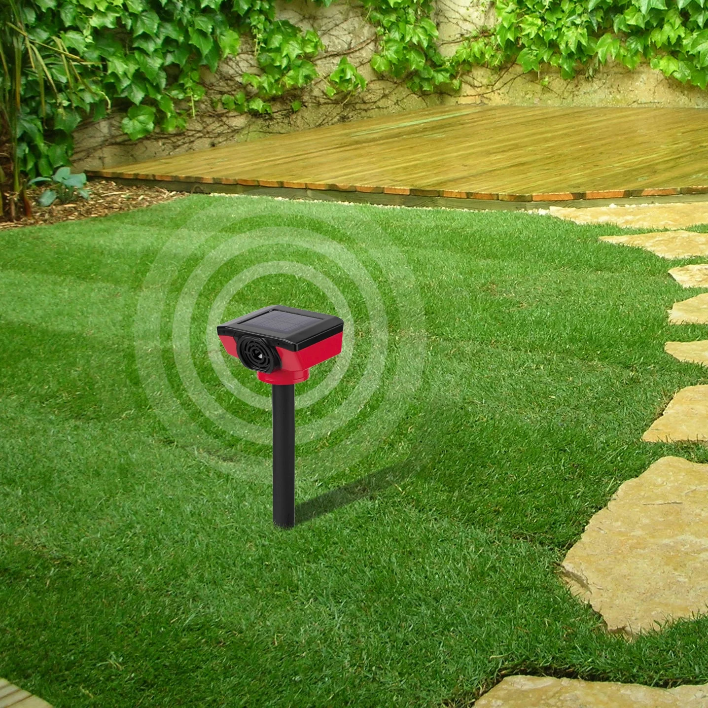 Image du produit 2